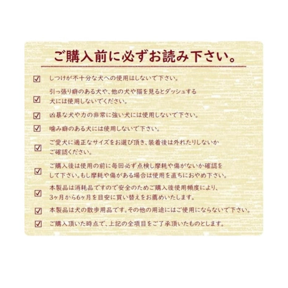 【アウトレット】ザ・ブラックラブカンパニー ハーフチョーク SSサイズ/デイジーオレンジ / 5kg程度までの超小型犬用
