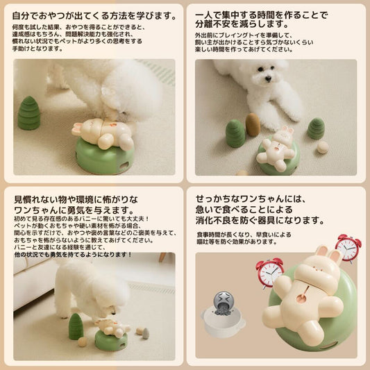 BITE ME バイトミー ブレイニングトイ スピンアンドスナック バニー