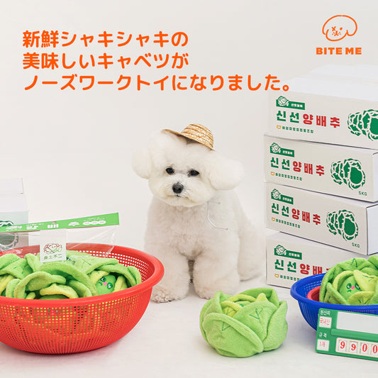 BITE ME バイトミー キャベツくんくんボールおもちゃ