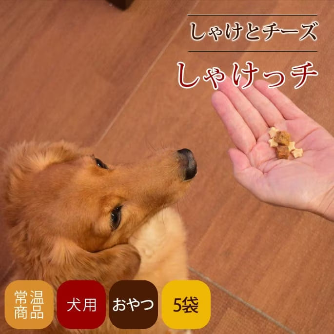 帝塚山ハウンドカム 犬猫用おやつ  しゃけっチ　60g