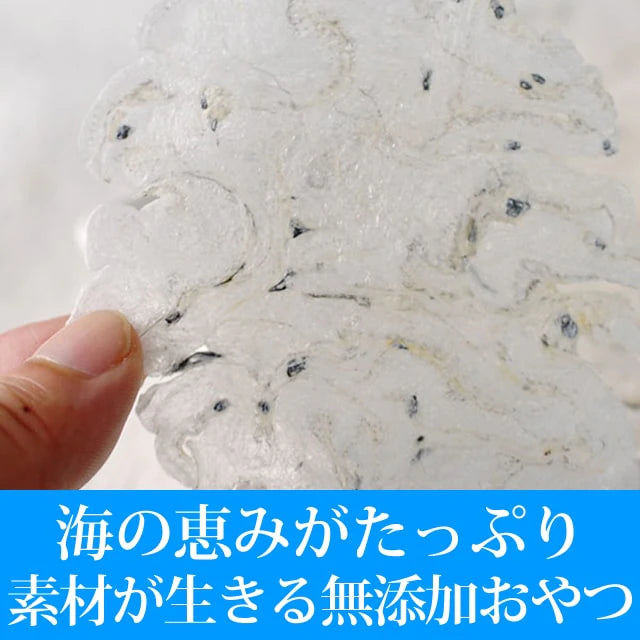 帝塚山ハウンドカム 犬猫用おやつ  しらすせんべい