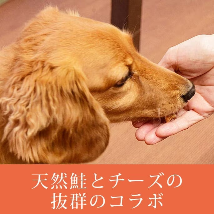 帝塚山ハウンドカム 犬猫用おやつ  しゃけっチ　60g
