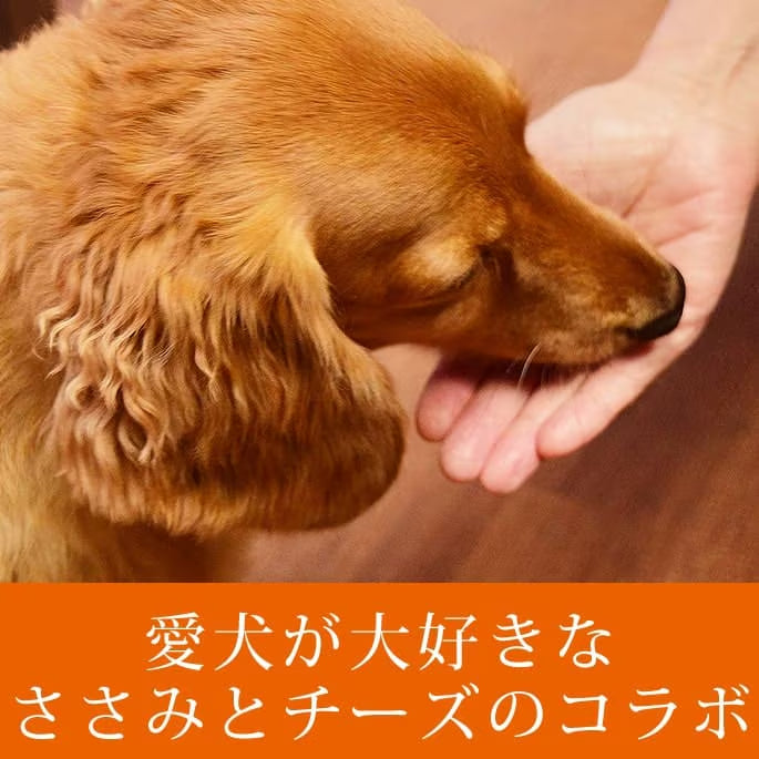 帝塚山ハウンドカム 犬猫用おやつ  ささみっチ　60g