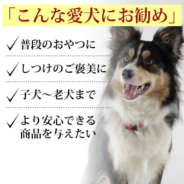 帝塚山ハウンドカム 犬猫用おやつ  しらすせんべい