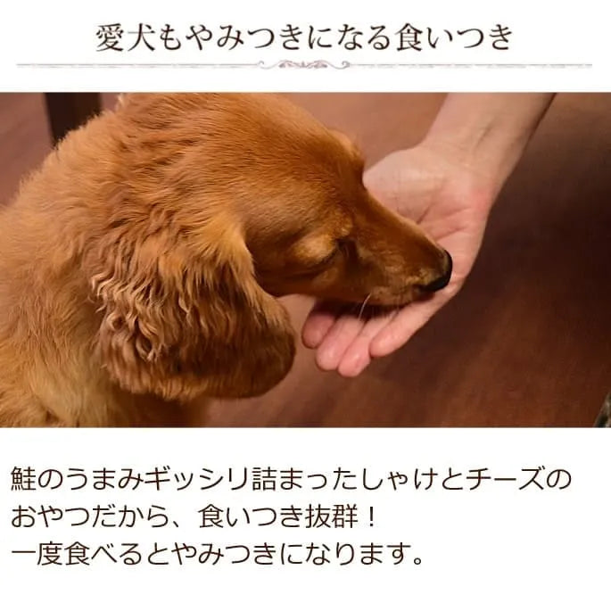 帝塚山ハウンドカム 犬猫用おやつ  しゃけっチ　60g