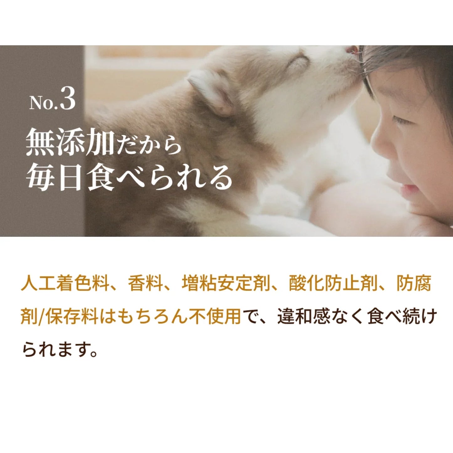 SILKFULL 犬用プレミアムウェットフード（チキン味）