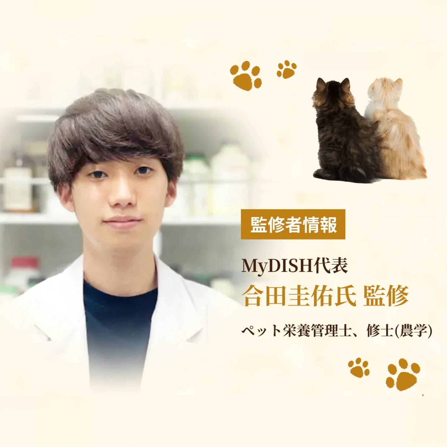 SILKFULL 猫用プレミアムウェットフード（チキン味）｜選べるセット