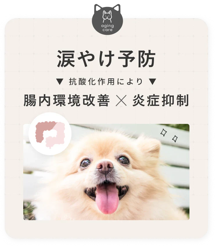 SILKFULL シルクフル 犬用サプリ｜選べる2サイズ