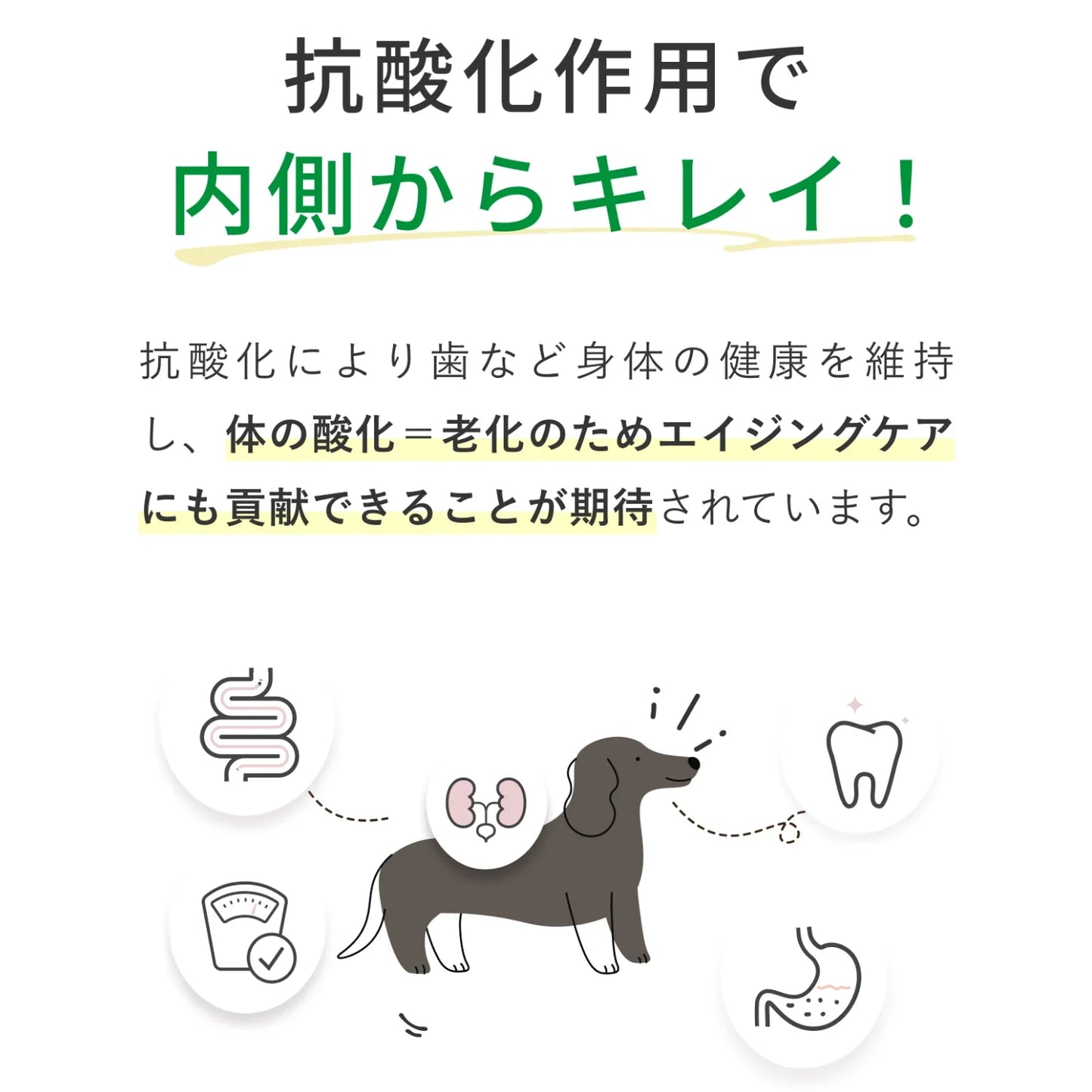 SILKFULL Cozy Milk コージーミルク / カラダシルク in　