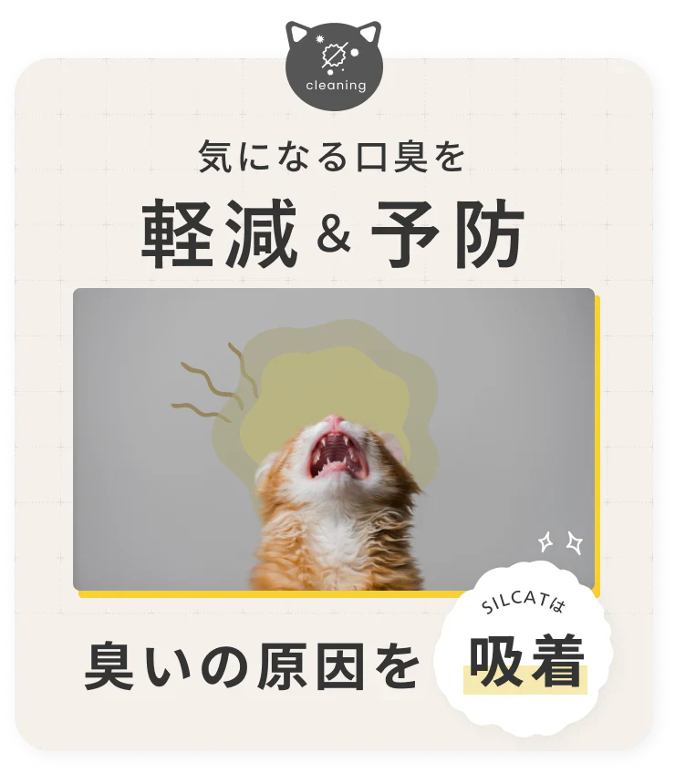 SILKFULL シルキャット 猫用サプリ｜選べる2サイズ