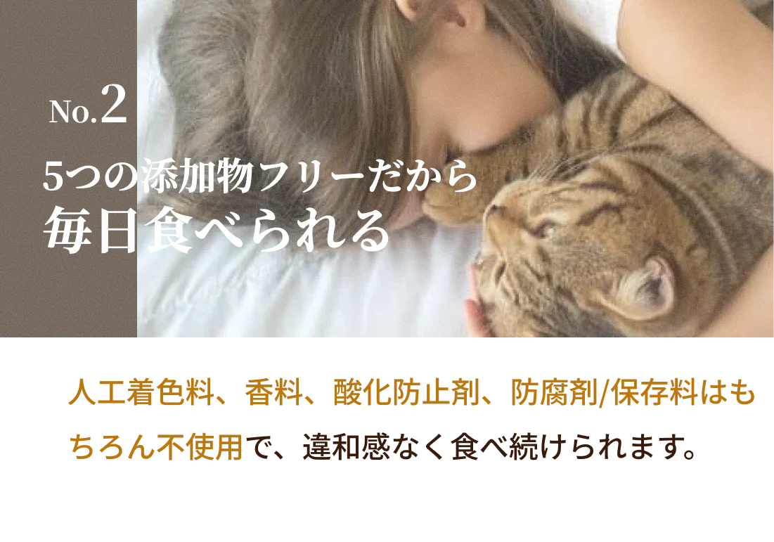 SILKFULL 猫用プレミアムウェットフード（マグロ味）