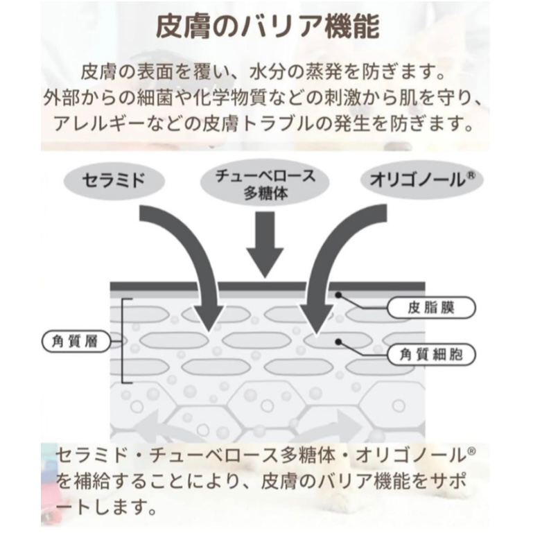 BASICS 高濃度セラミドモイスチャースプレー200mL
