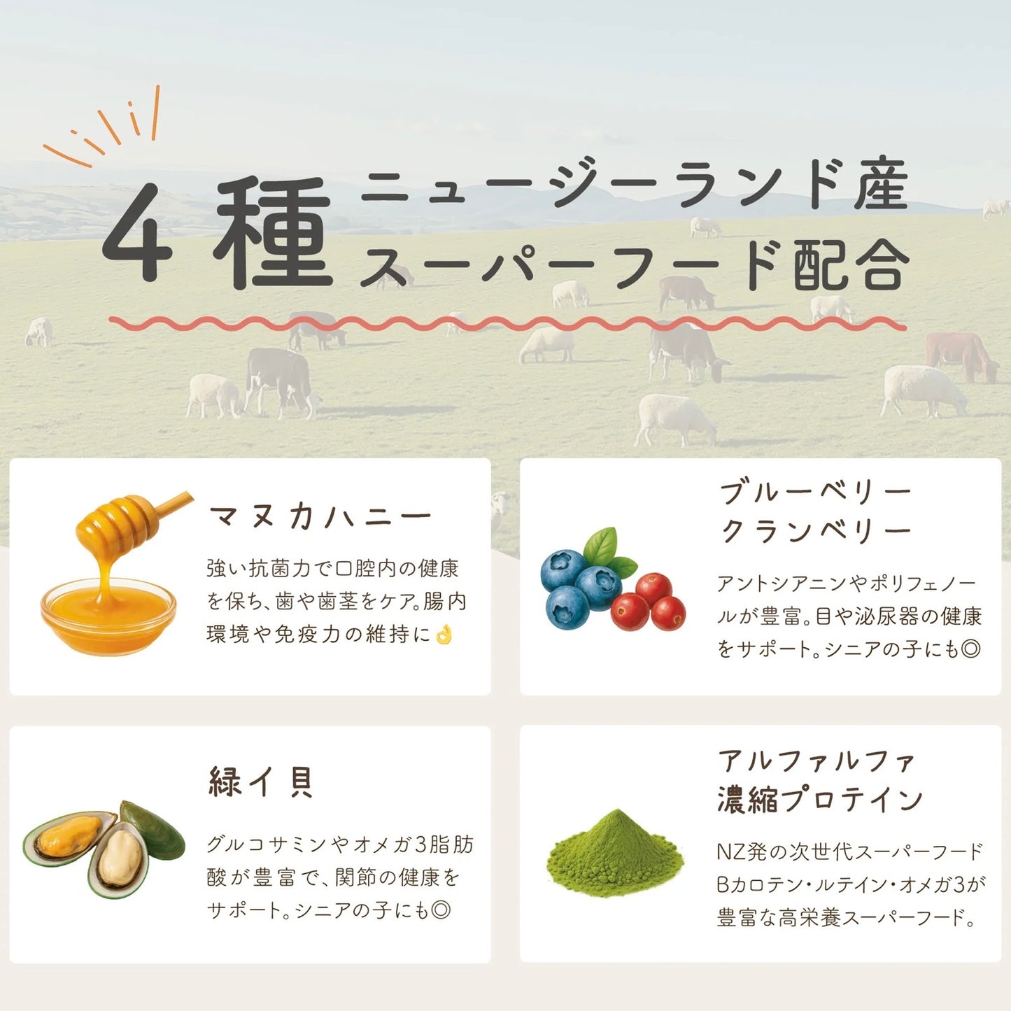 HITOWAN 生食フリーズドライ｜選べる3種類｜選べる2サイズ
