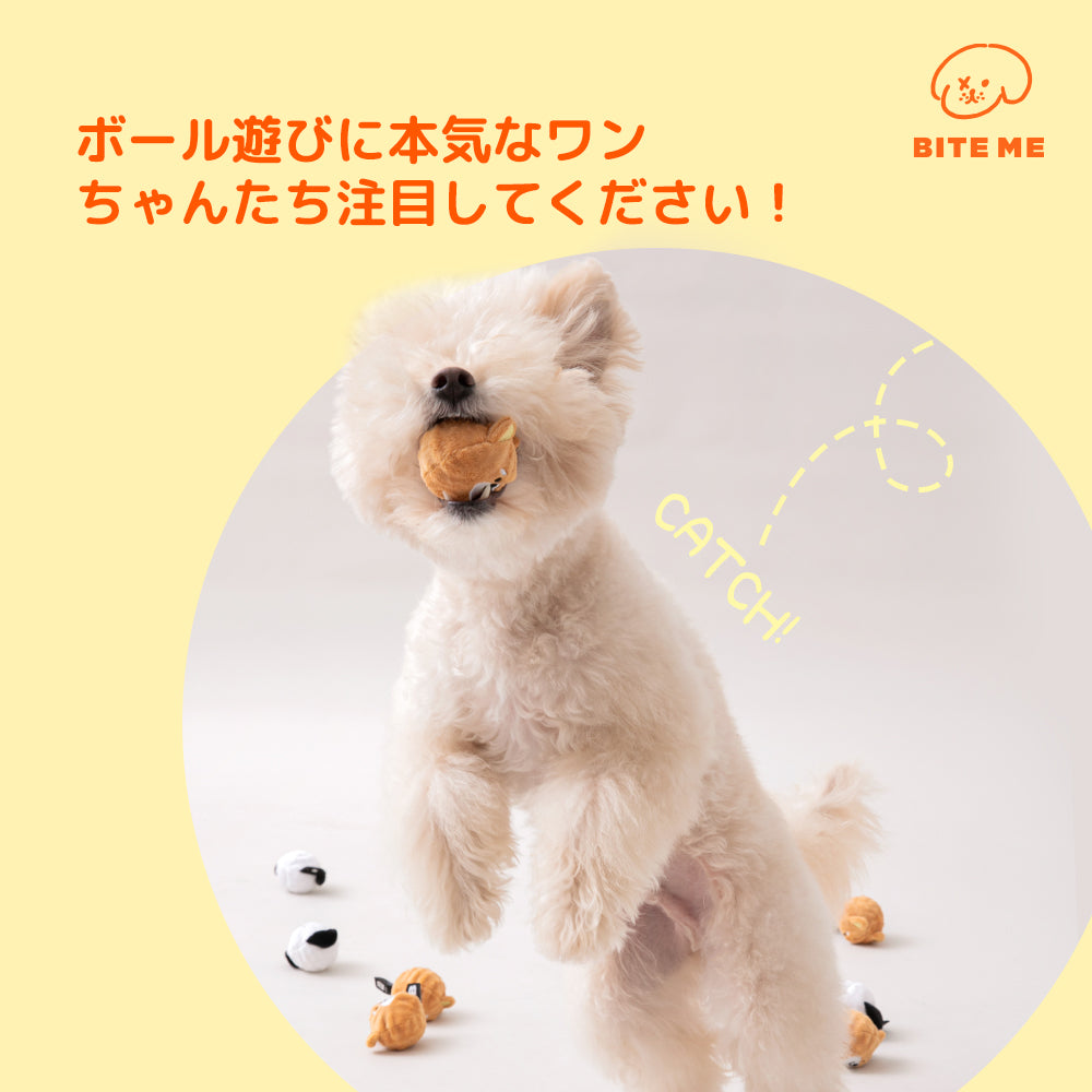BITE ME バイトミー 犬のボールおもちゃ （2個入り）