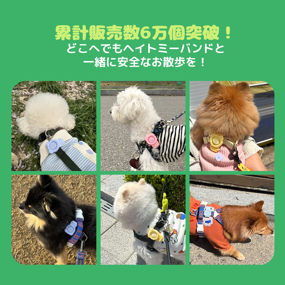BITE ME バイトミー ヘイトミーバンド [レモン/ピーチ/ソーダ]