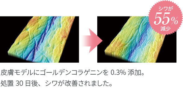 ホメオバウ プレシャスリポクリーム 30g【取り寄せ】