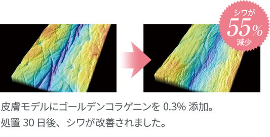 ホメオバウ プレシャスリポクリーム 30g【取り寄せ】